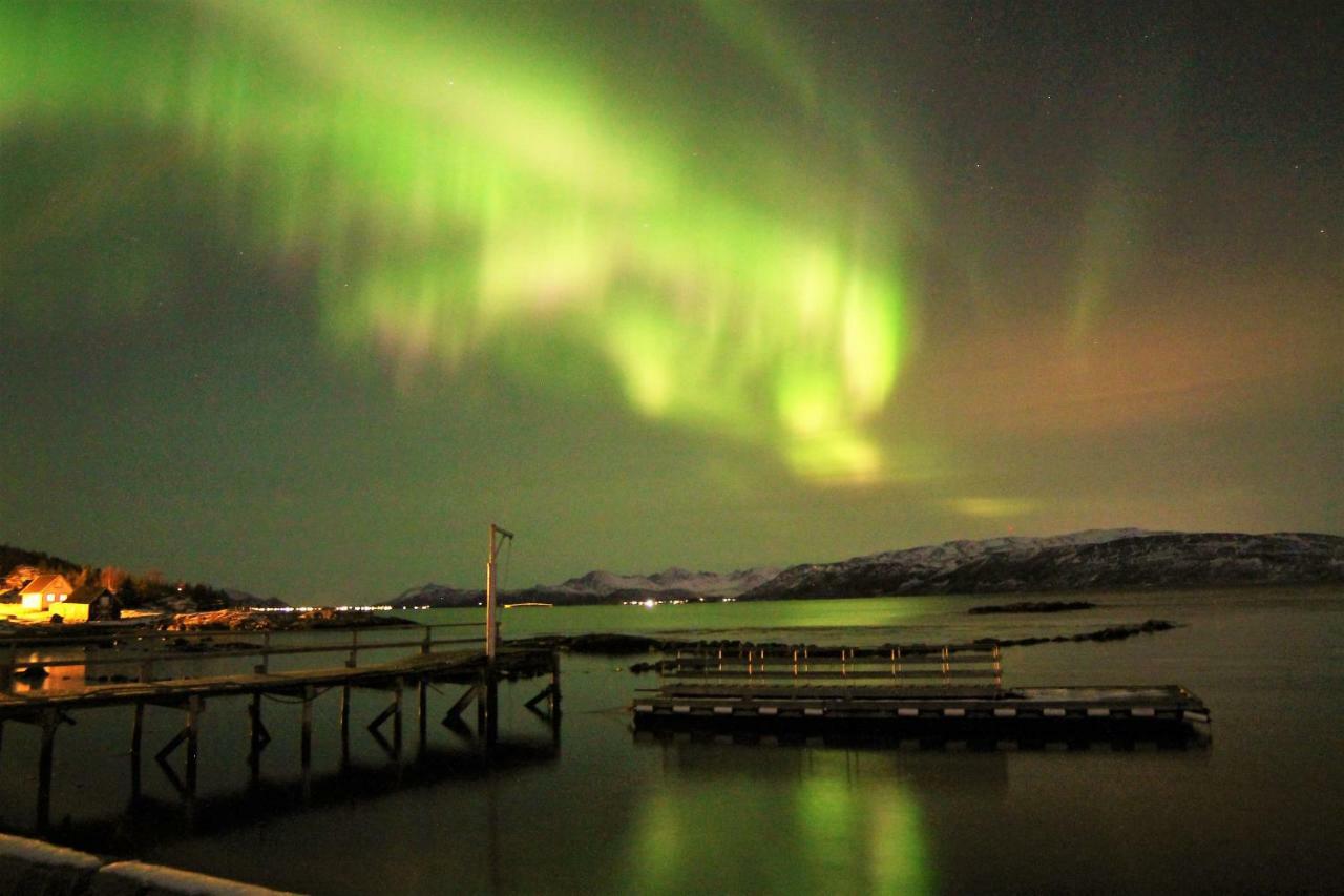 Отель Laukvik Senja Botnhamn Экстерьер фото